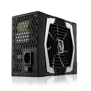 PT-850FM FSP