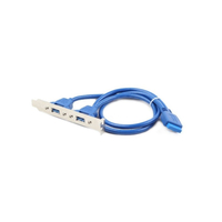 IGG311707
