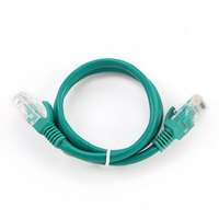 IGG310878