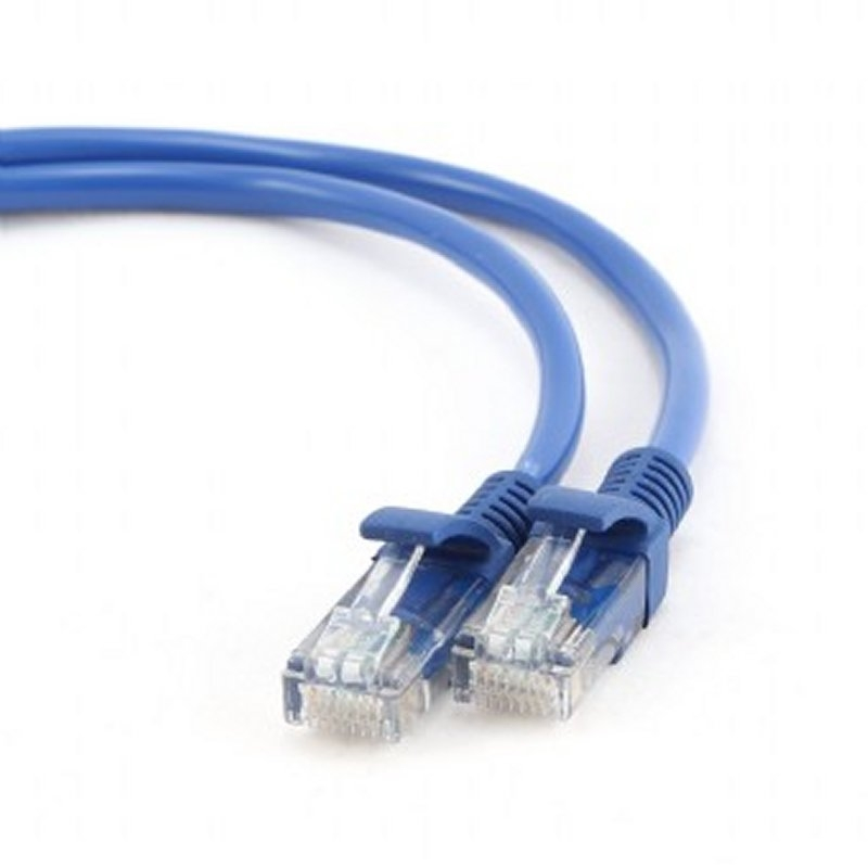 IGG310885 iggual