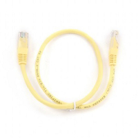 IGG310991