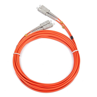 IGG311523