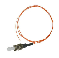 FIBSTM2PIG