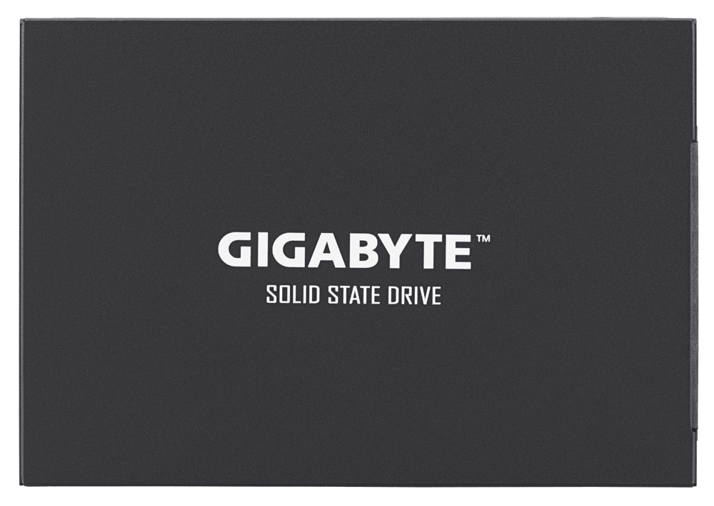 GP-GSTFS30512GTTD GIGABYTE