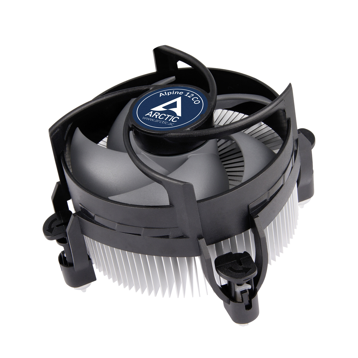 ACALP00031A ARCTIC