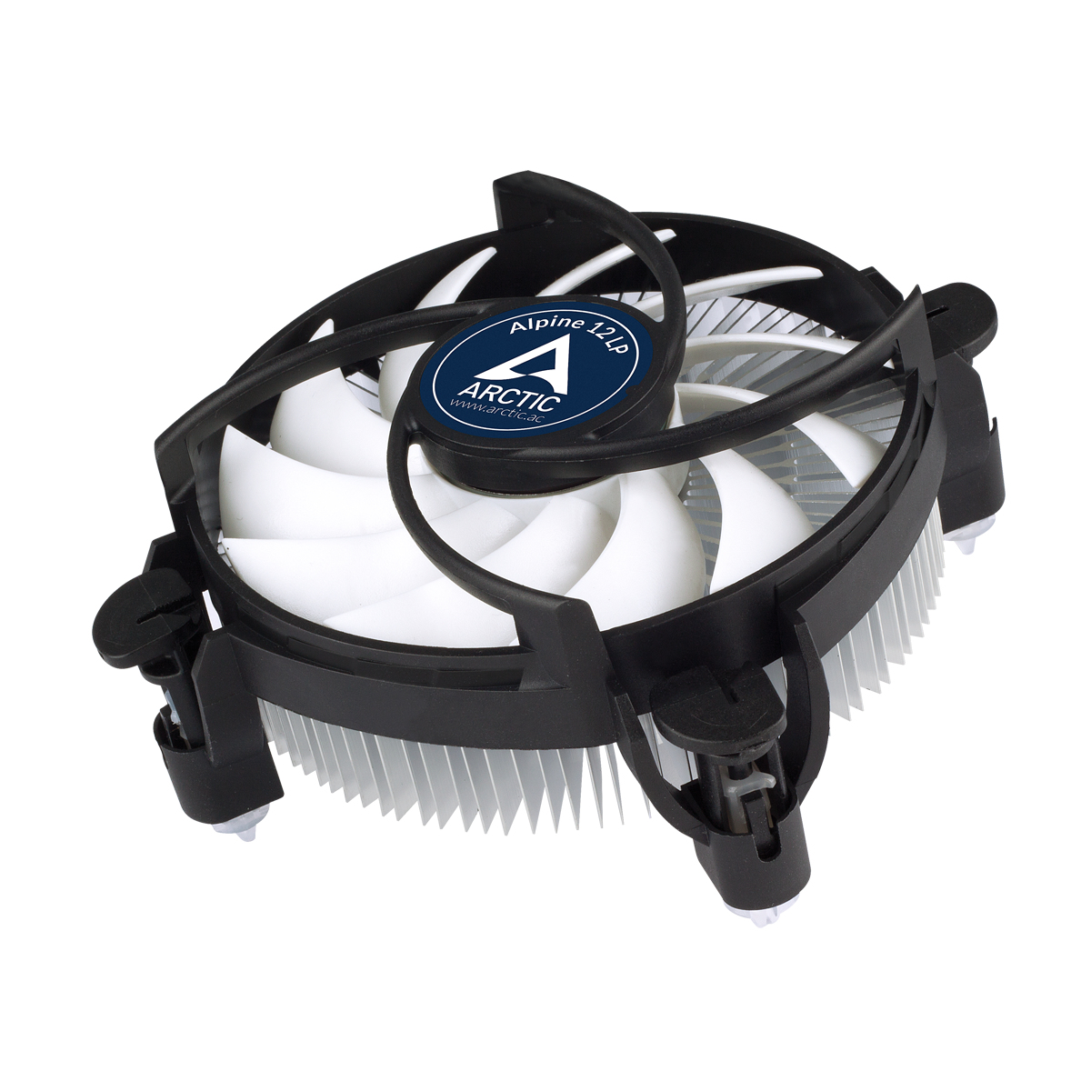 ACALP00029A ARCTIC