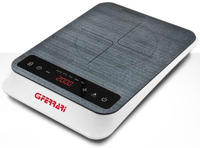 G10119