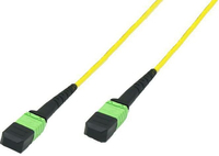 FIB998015MTP