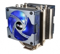 "TRITON 81"
