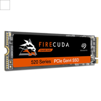 ZP500GM30002