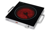 KCP-PV2000