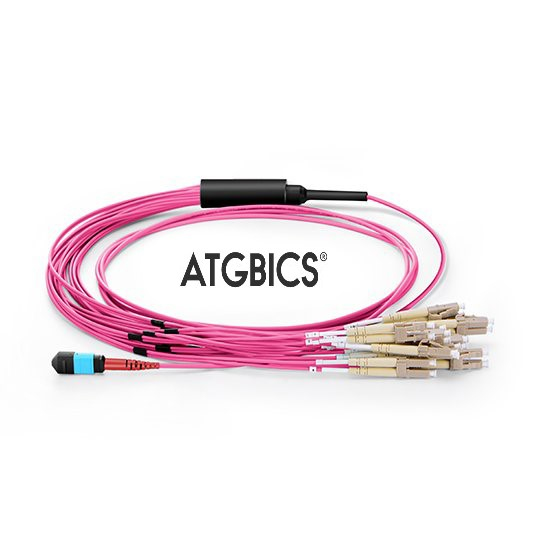 BOC-24MTPF-12LCOM4-5M ATGBICS