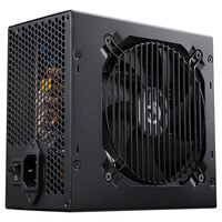 PSU010021