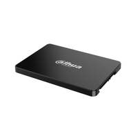 DHI-SSD-E800S256G