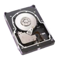 ST336607LW Seagate
