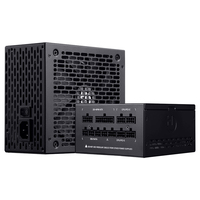 PSU010029