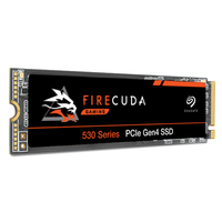 ZP1000GM3A013-10PK