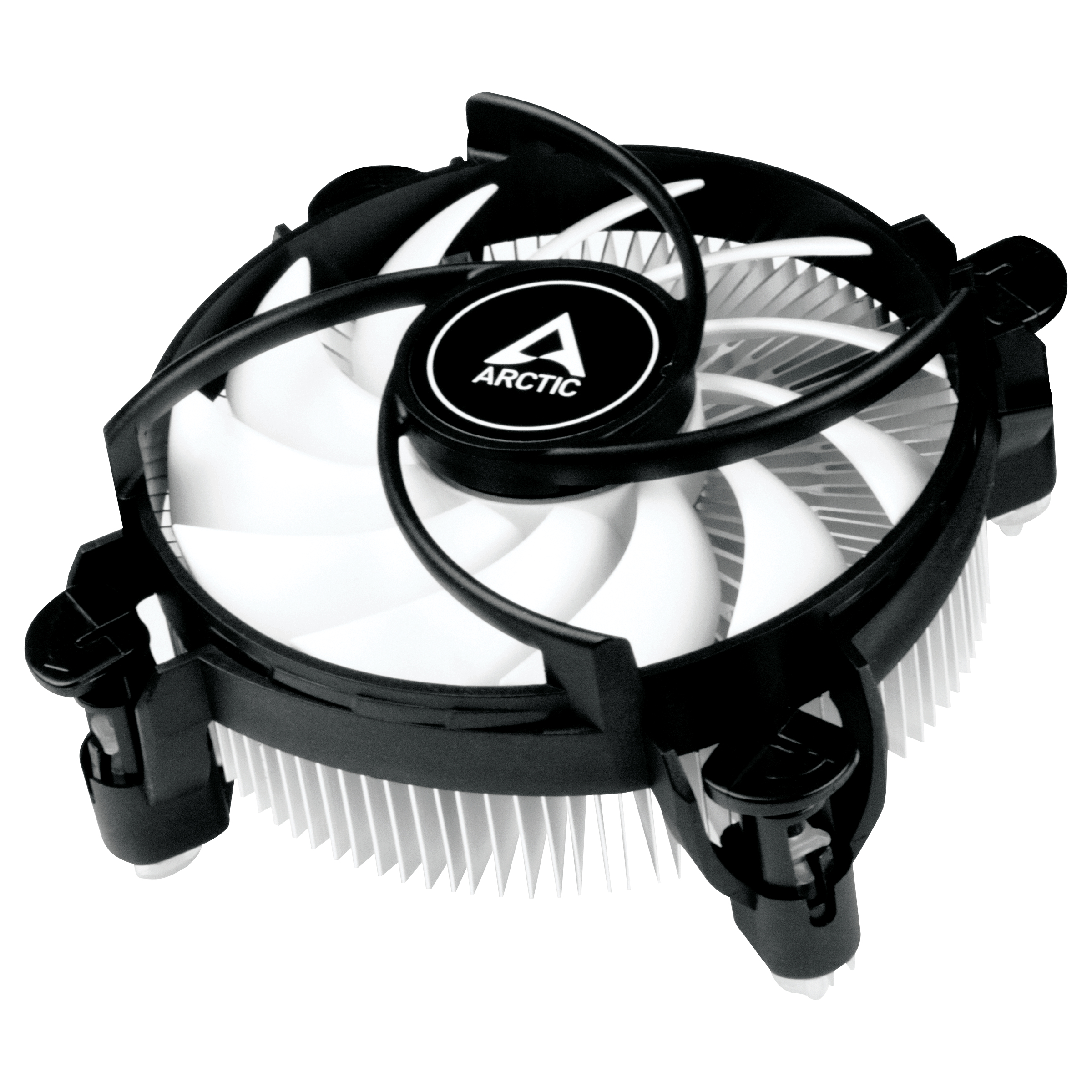 ACALP00042A ARCTIC