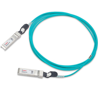 SFP25G-U-AOC-10M-L