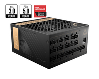 "MEG AI1000P PCIE5"