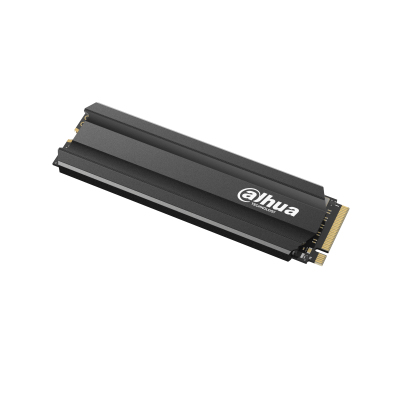 DHI-SSD-E900N256G Dahua Technology