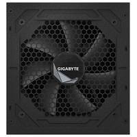 "GP-UD850GM PG5"