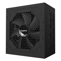 "GP-UD1000GM PG5 UK"