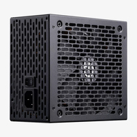 PSU010035