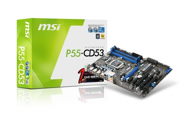 P55-CD53 MSI