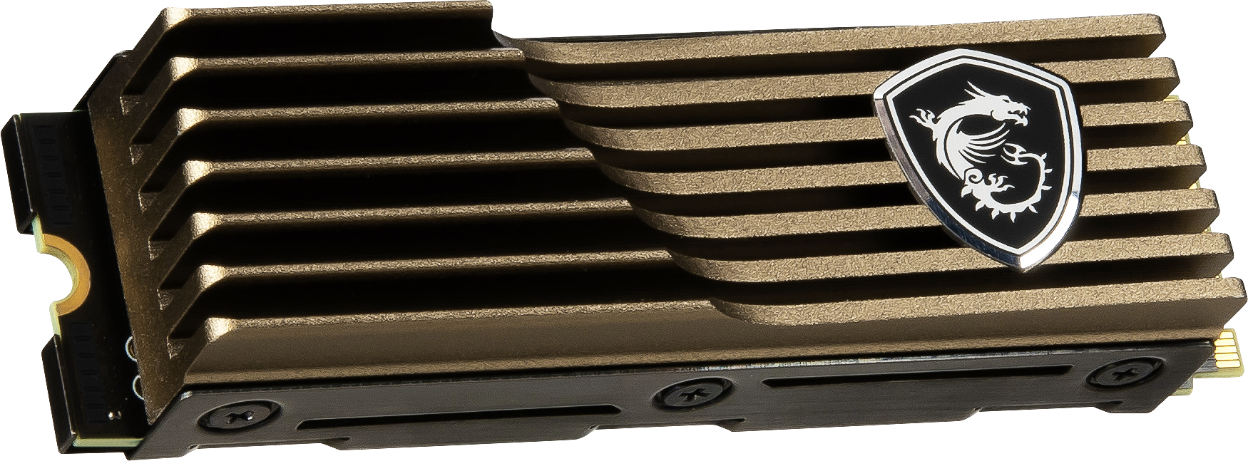 M570-M2-1TB-HS MSI