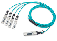 FCBN525QE1C20-A