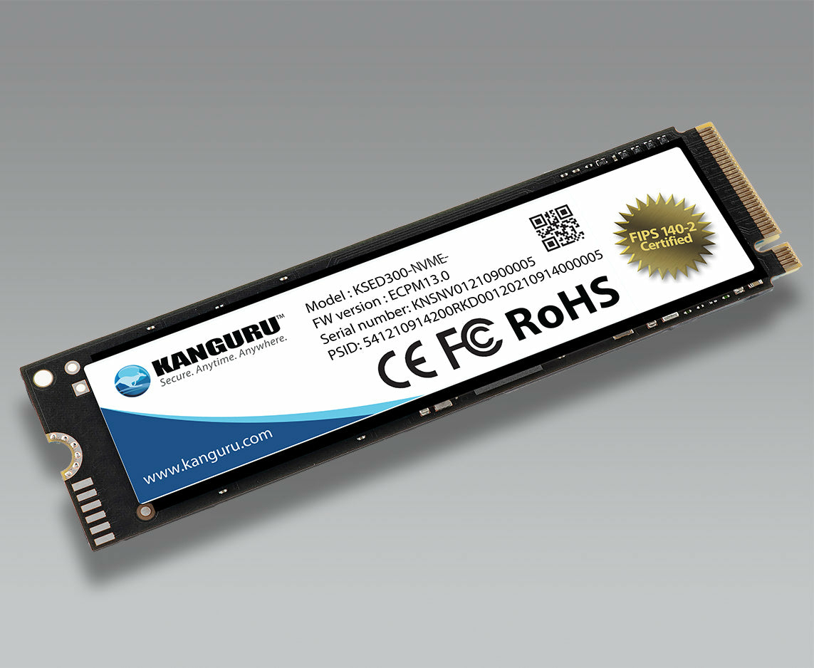KSED300-NVME-2T iStorage