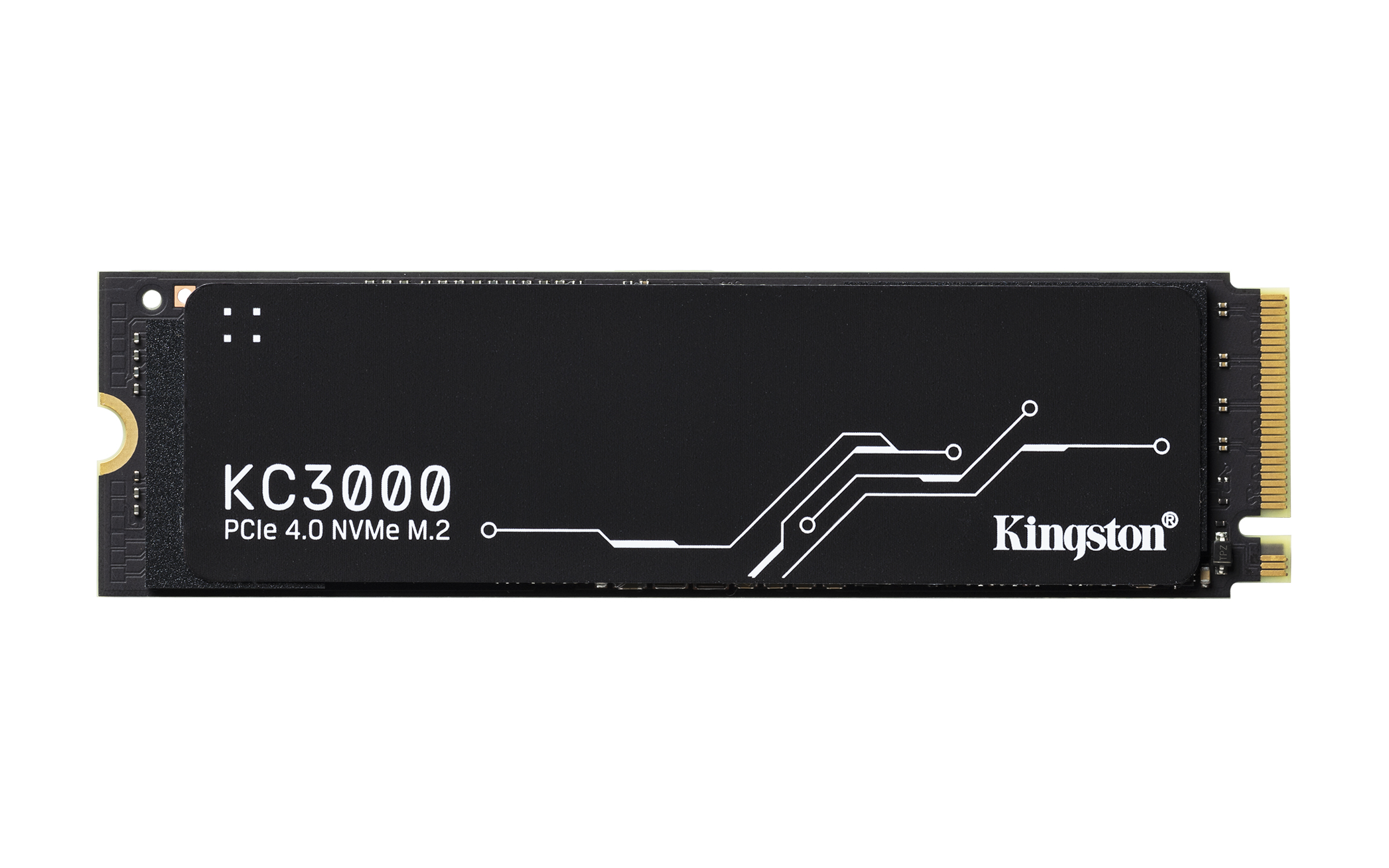 SKC3000D/4096GBK Kingston Technology