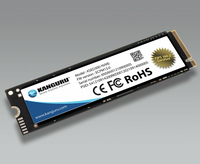 CIG-KSED300-NV-1T