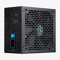 PSU010041