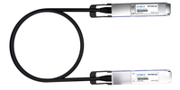 MCP4Y10-N01A-FLT-C