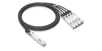 MCP7Y40-N001-C
