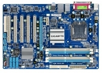 GAP43TE3G-00-G
