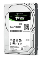 ST1000NX0313