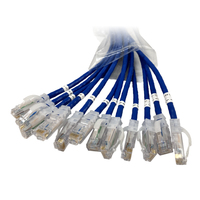 EZFPM6A03Q12-06