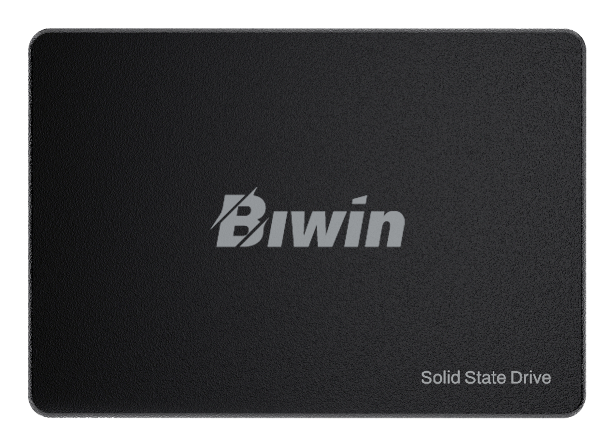 BM100NN01TB-RGX Biwin