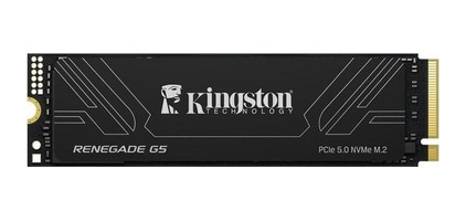 SRNG2S/2T0 Kingston Technology