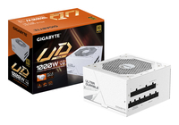 "GP-UD1000GM PG5 ICE"