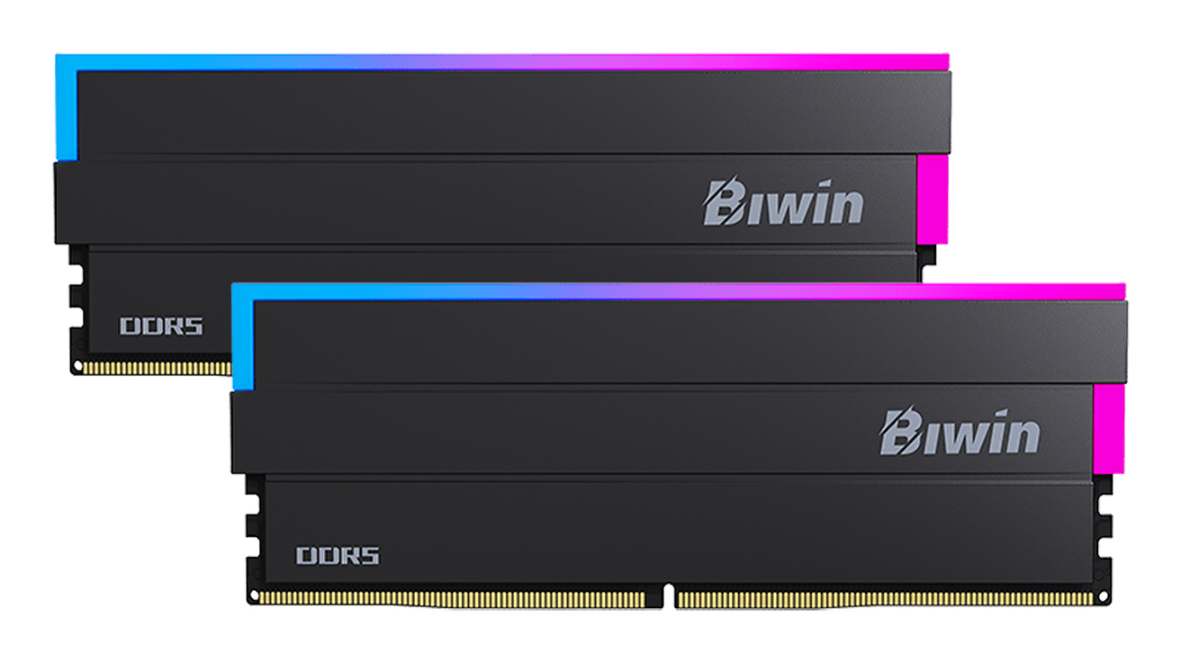 B5DW100327234FR2G-CB005 Biwin