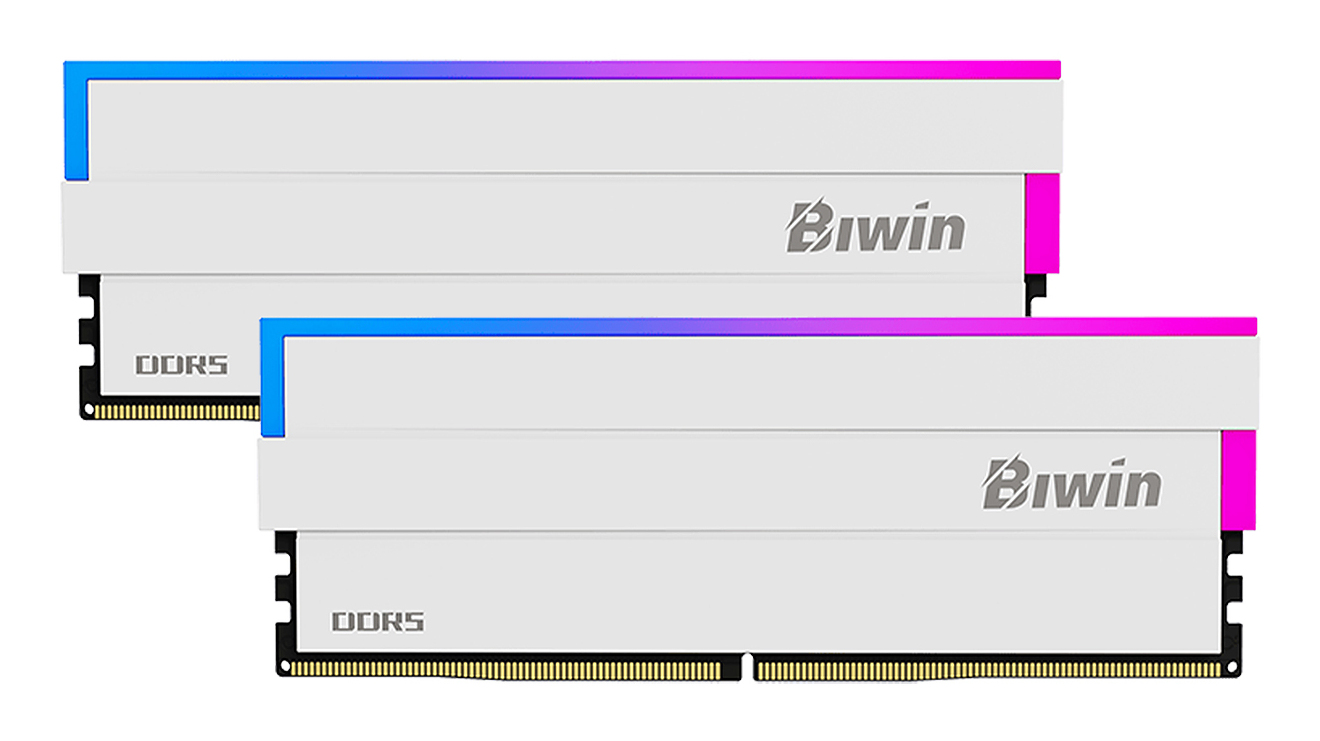 B5DW100327234FR2G-CW005 Biwin
