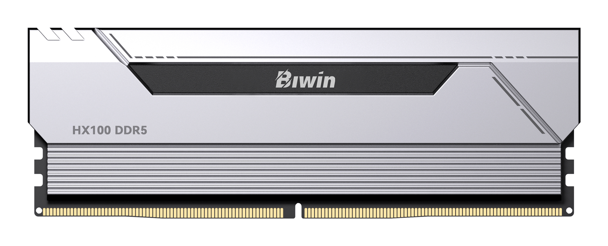 B5HX100646030ER2G-BS006 Biwin