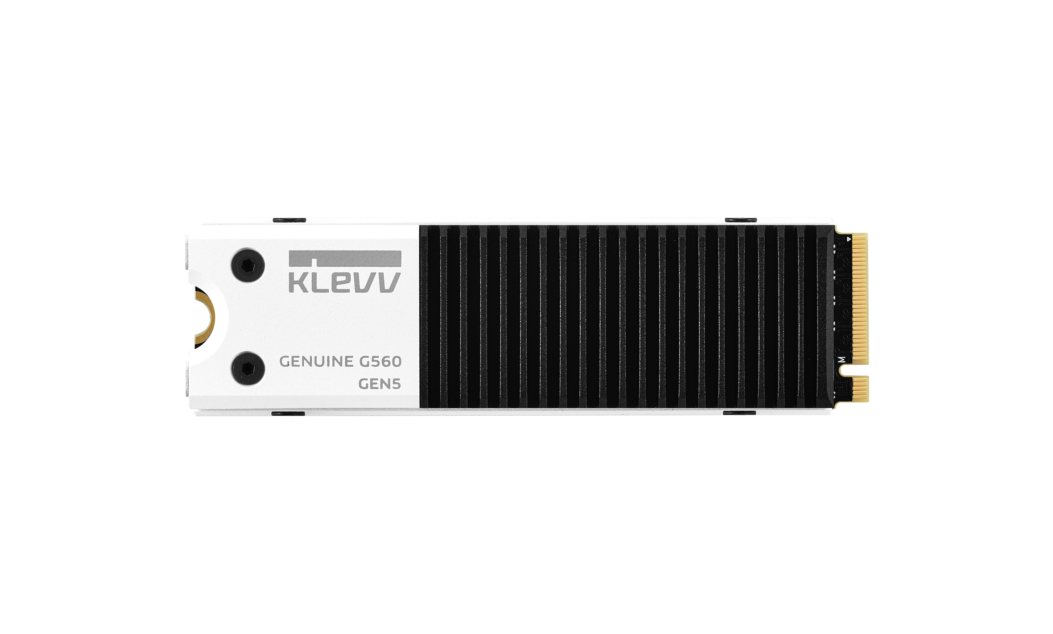 K02TBM2SP0-G56 Klevv