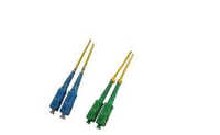 FIB821005