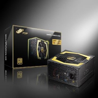 PPA5003100