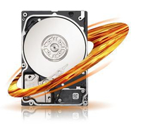 MS-ST9300653SS